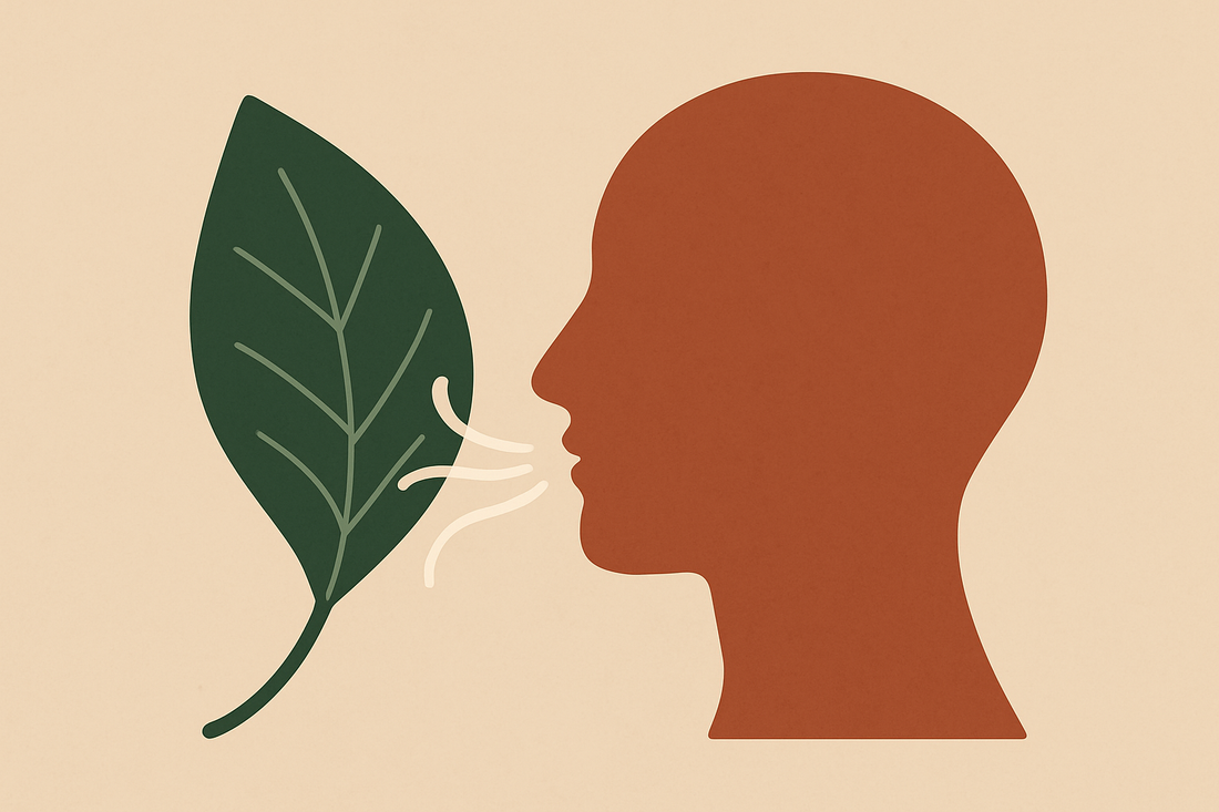 You Don’t Have to Earn the Right to Breathe